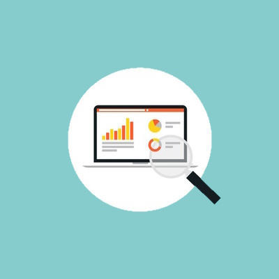 customized reports in vidya school management software